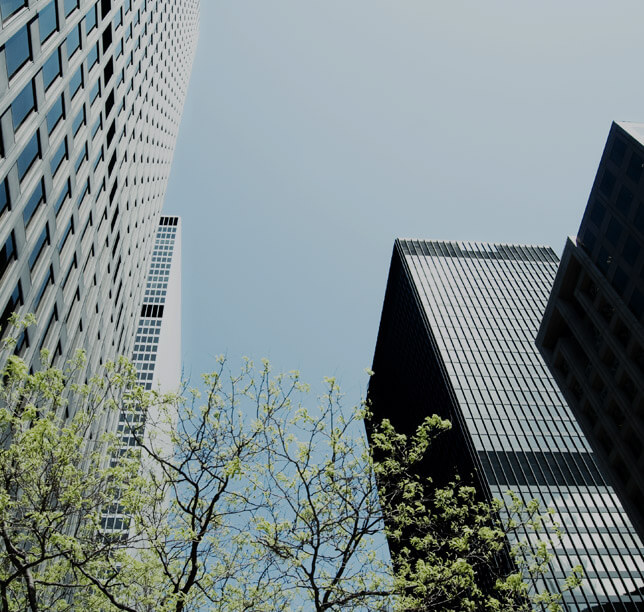 about 819 Capital Partners